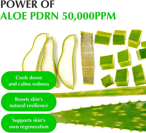 Eqqualberry Green AID Aloe PDRN Calming Serum 30ml