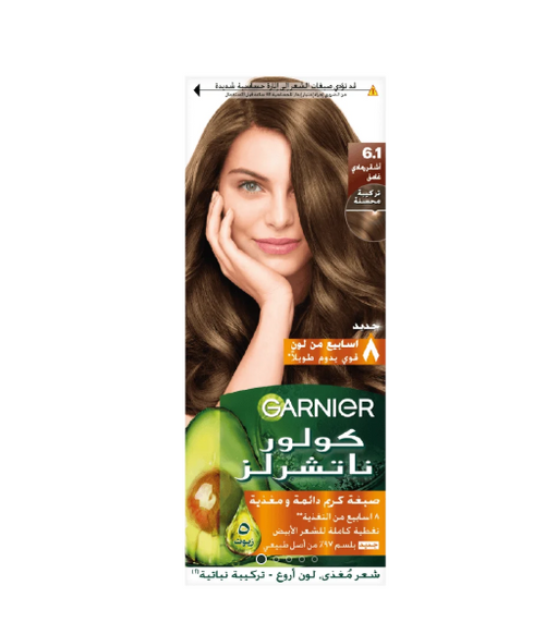 Garnier Dark Ash Blonde Hair Dye No.6.1