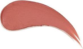 Sheglam  Matte Lip Stick (Daddy's Jet)