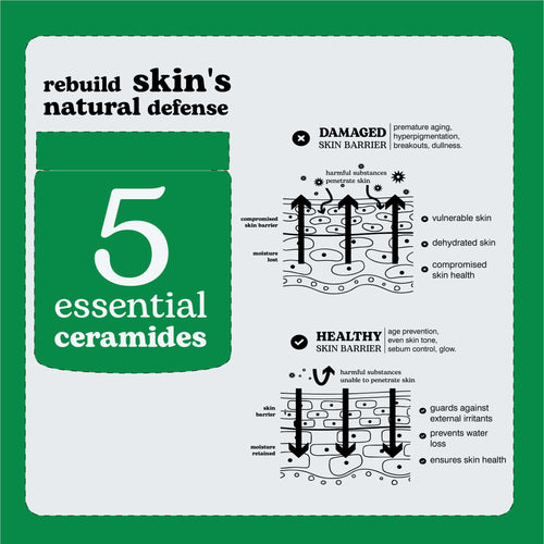 Beesline Everyone Barrier Cream 50ml2